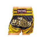 TBS DRAGON-2 THAI BOXING SHORTS DRAGON FRONT SIDE