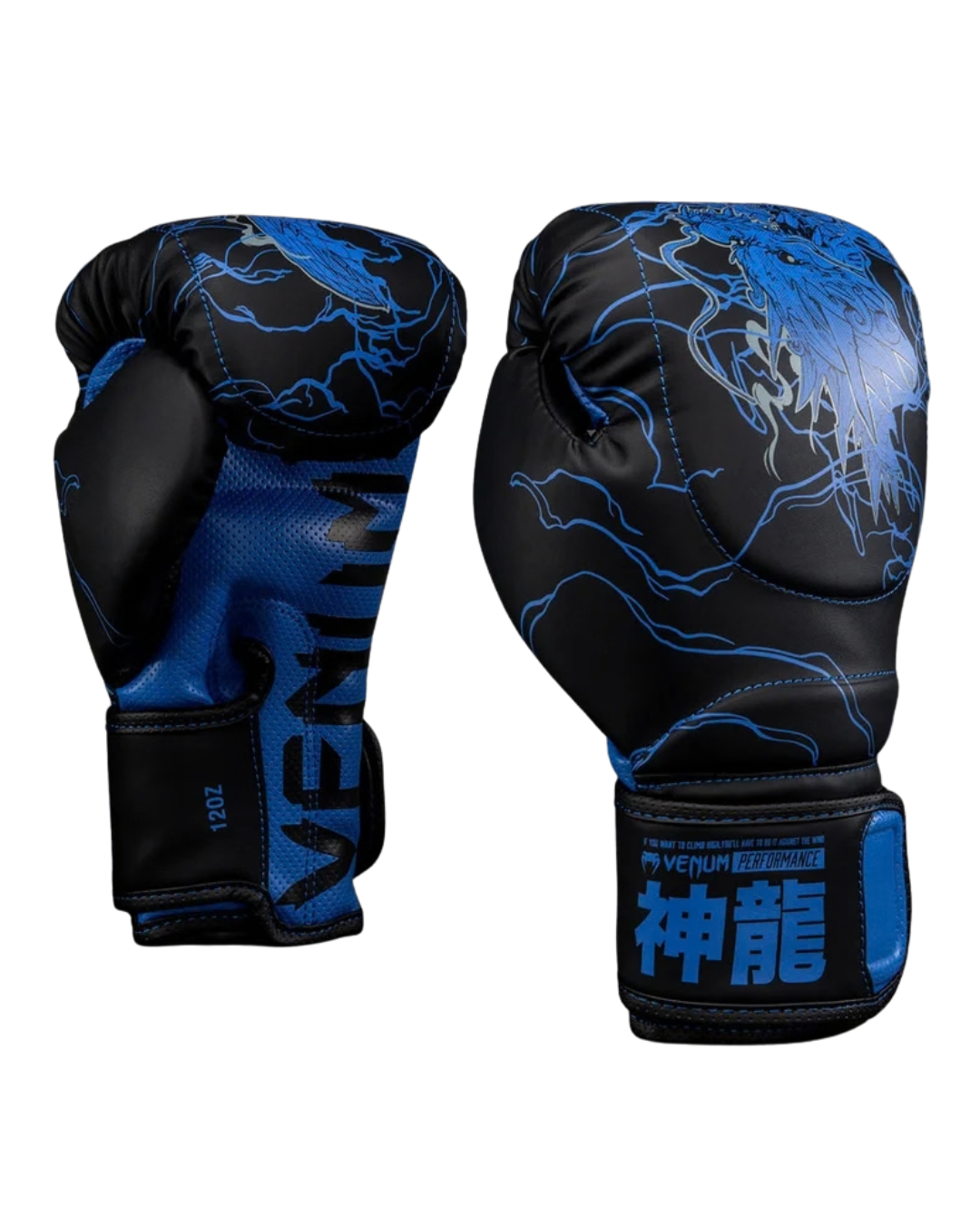 Venum Thunder Dragon Boxing Gloves – Black/Royal Blue | Injected Foam – Premium Striking Protection