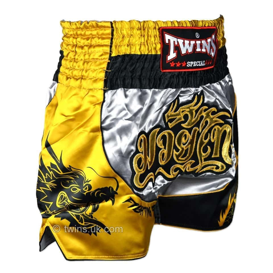 TBS1 DRAGON THAI BOXING SHORTS MIXED RIGHT SIDE